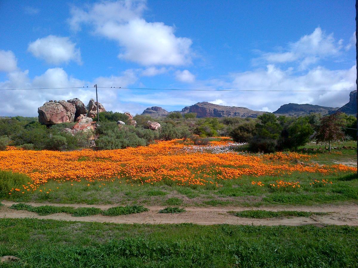De Pakhuys Villa Clanwilliam Kültér fotó